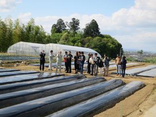 圃場見学のようす