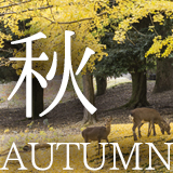 秋のイベント