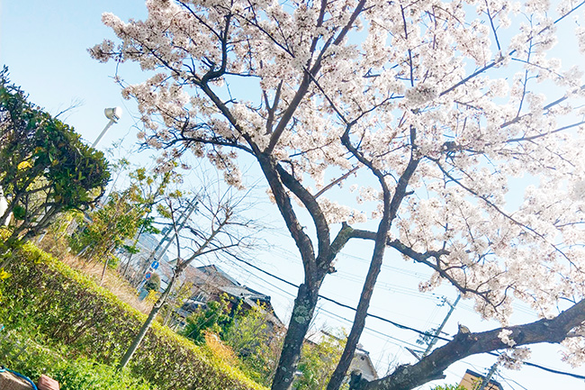 総合庁舎　屋外