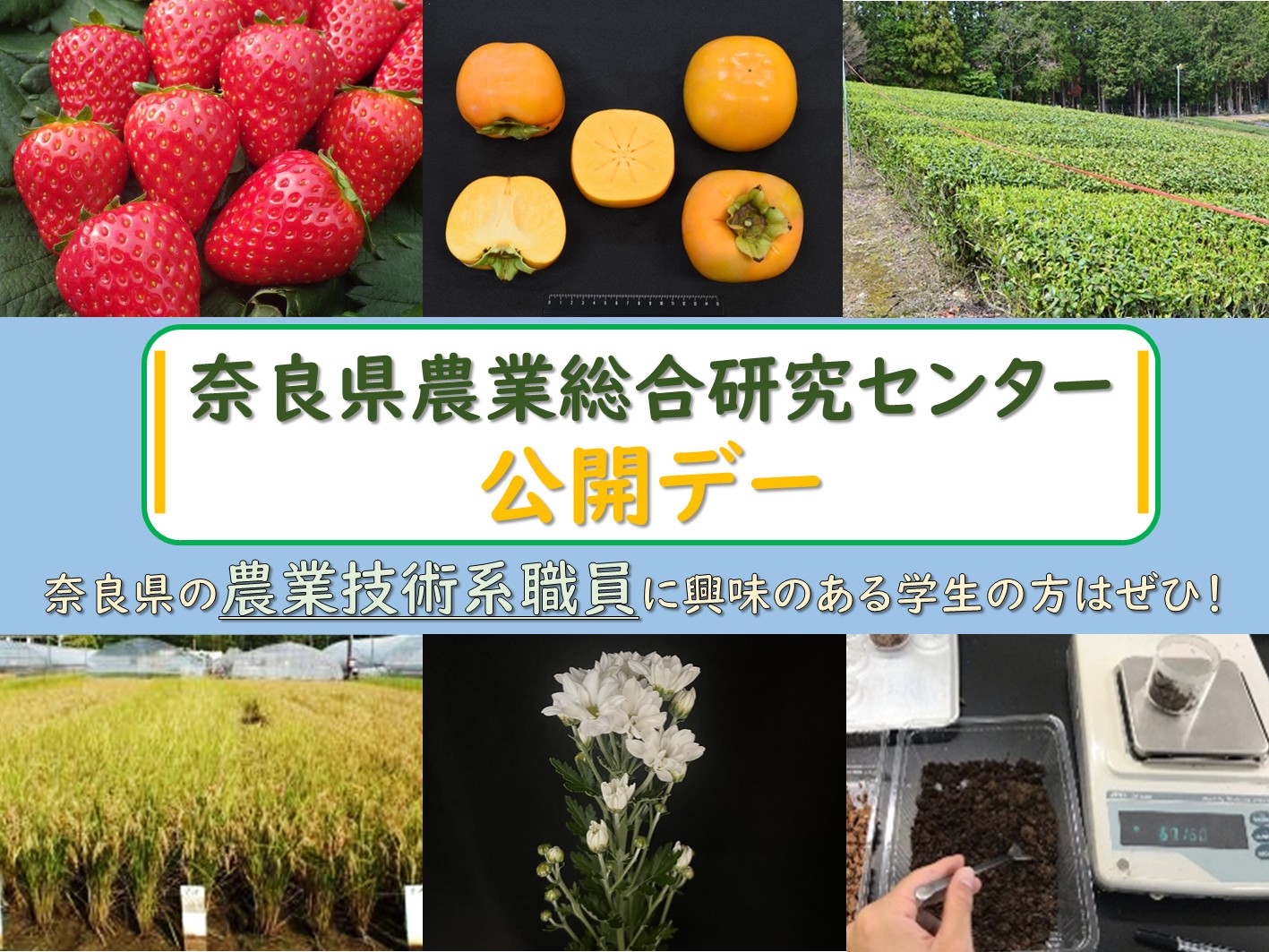 公開デー