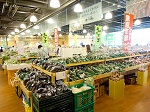 直売所イメージ