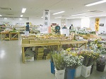 直売所イメージ