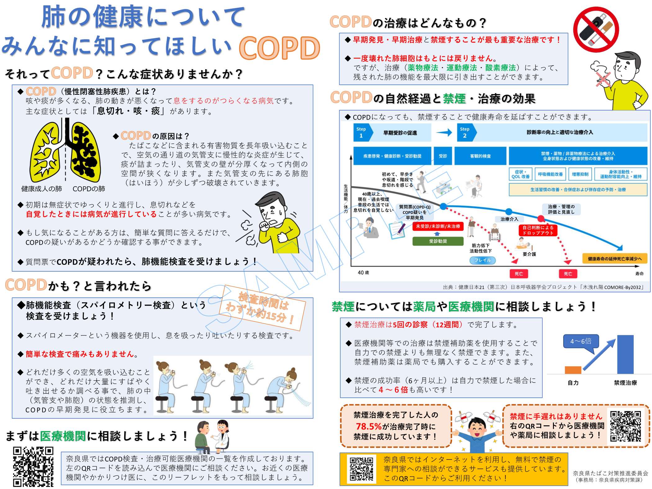 サンプル画像