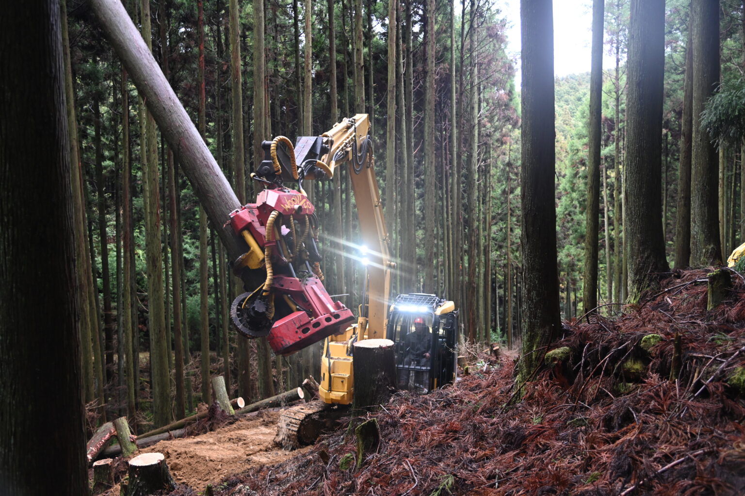 所有する高性能林業機械の一部（株式会社十津川造林提供）2