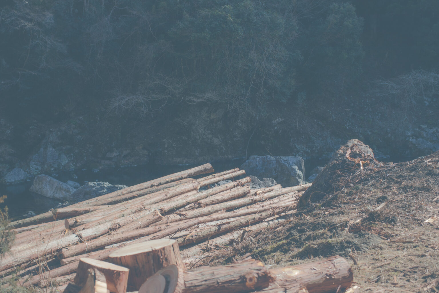 集積場横の川辺