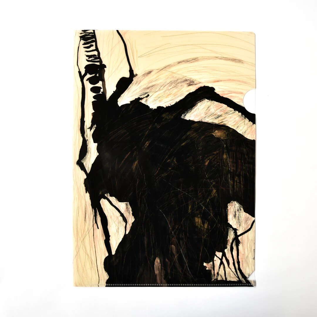 クリアファイル_澤井