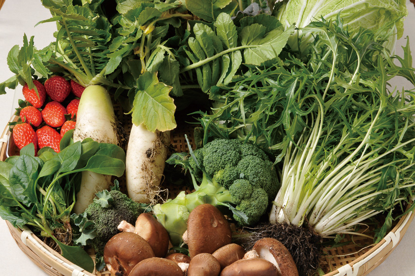 454_季節の農園セット_1