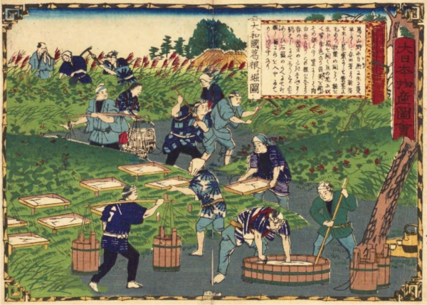 大日本物産図会 大和国 葛ノ根ヲ堀図