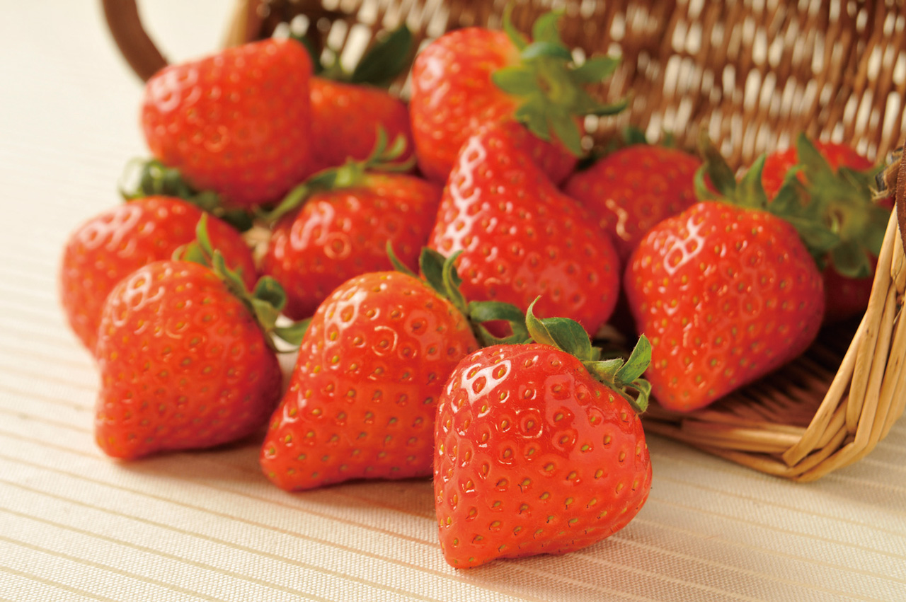 334_あすかルビー_1