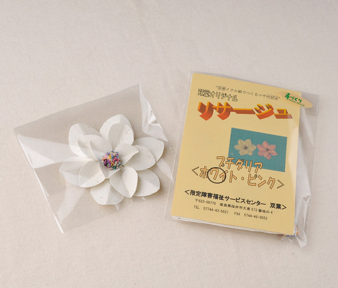 296_リサージュ_3