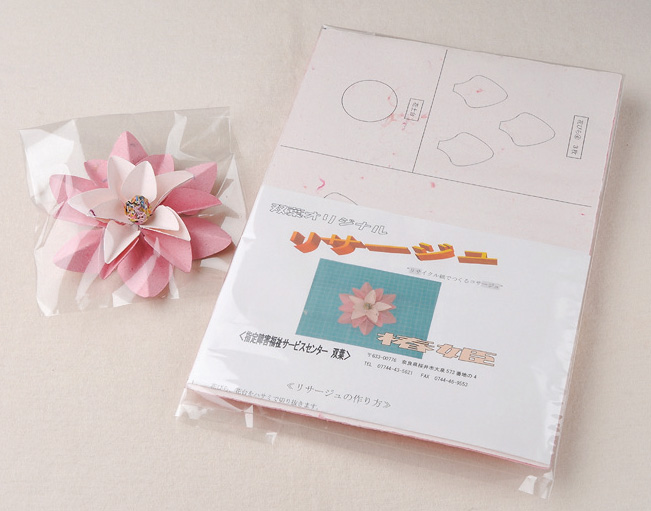 297_リサージュ_2