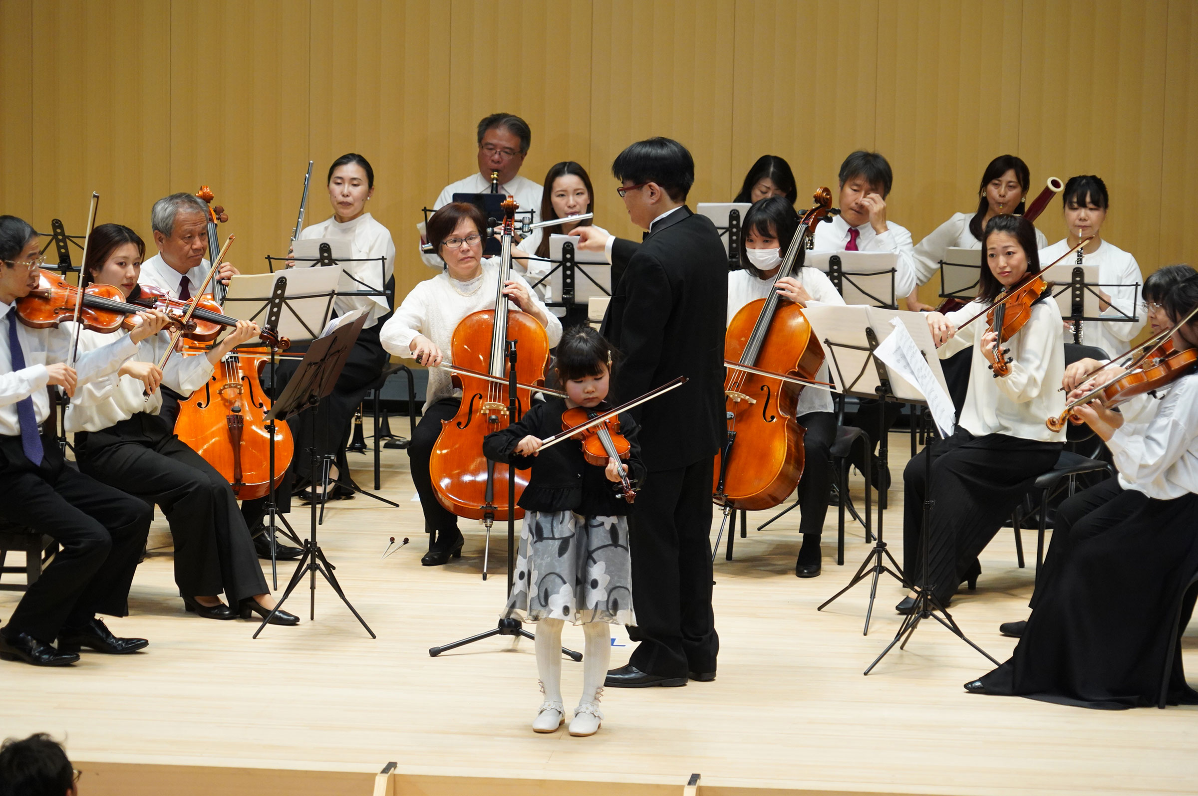 violin2