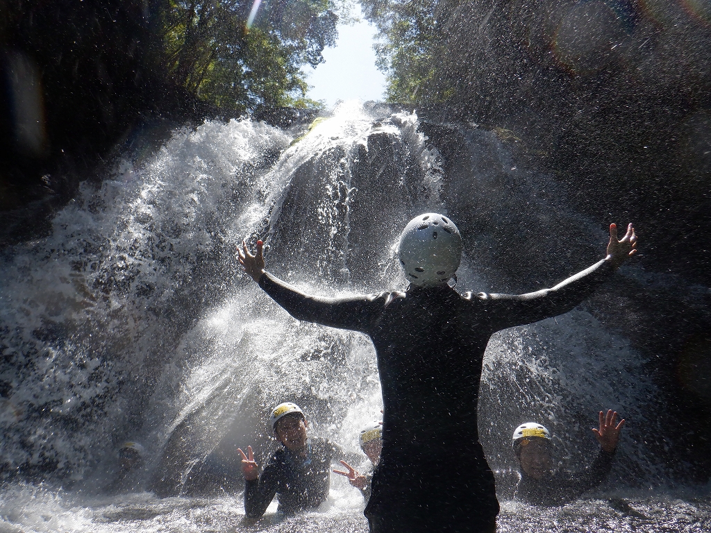 株式会社ワイルドウインドイメージ写真