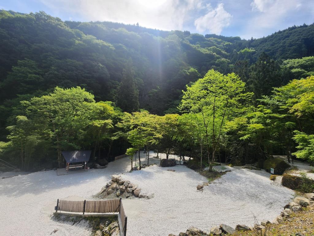 TocoTocoの森イメージ写真