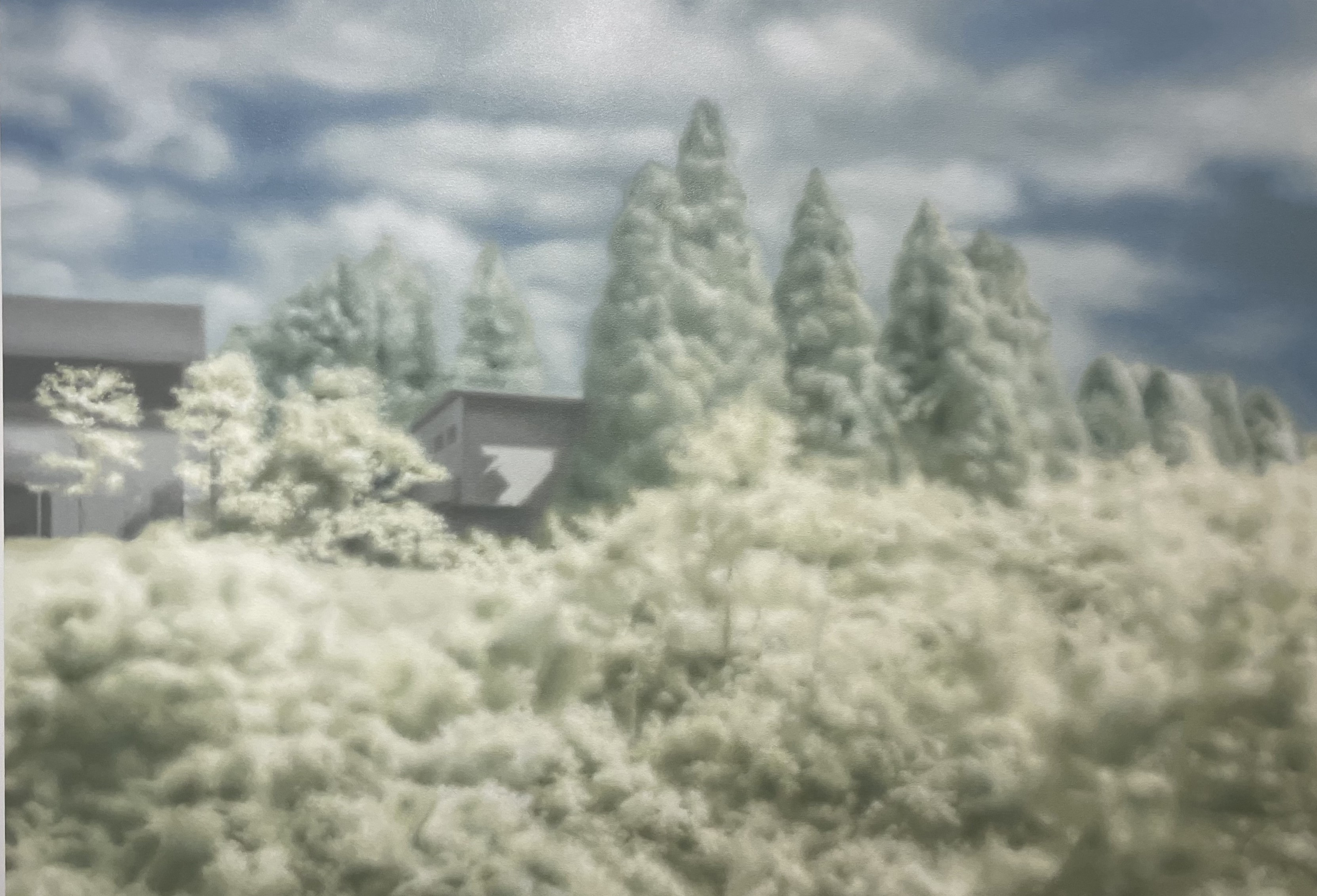 iba《Untitled 2023-05》