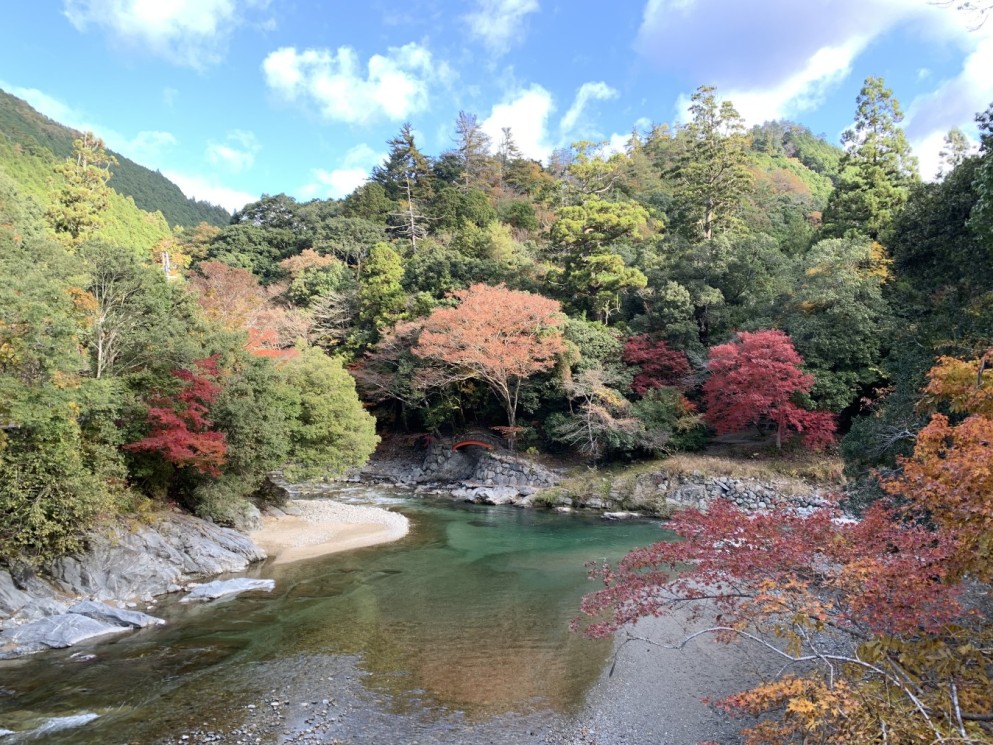 夢淵