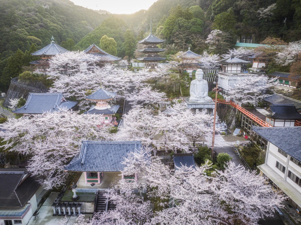 壷阪寺