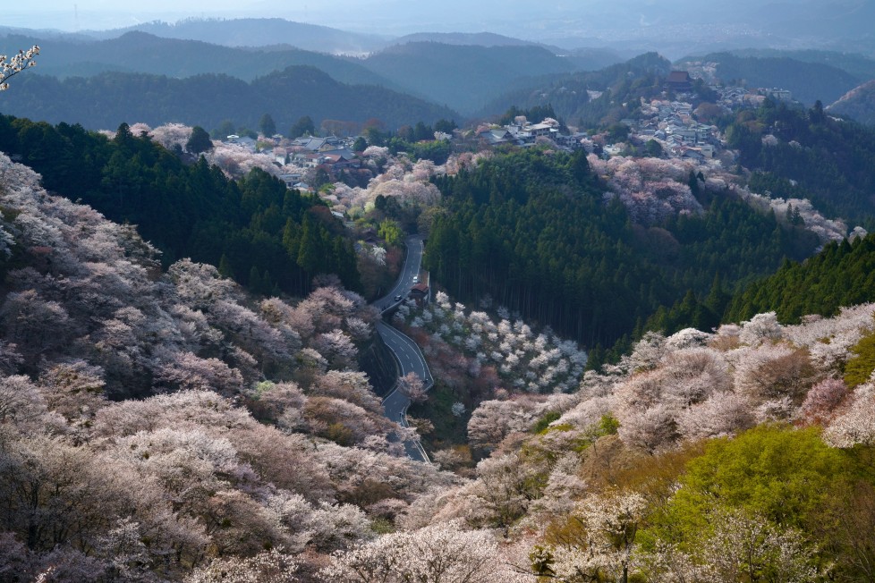 吉野山