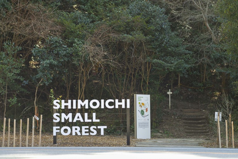 SHIMOICHI SMALL FOREST