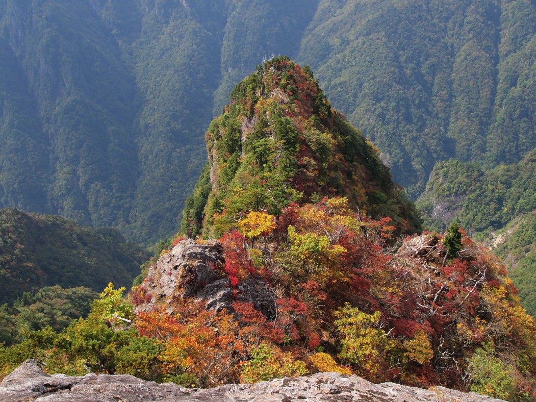 大台ヶ原