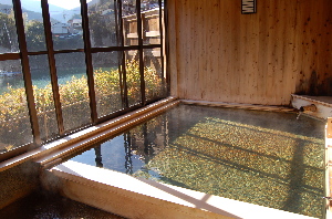 十津川温泉 庵の湯