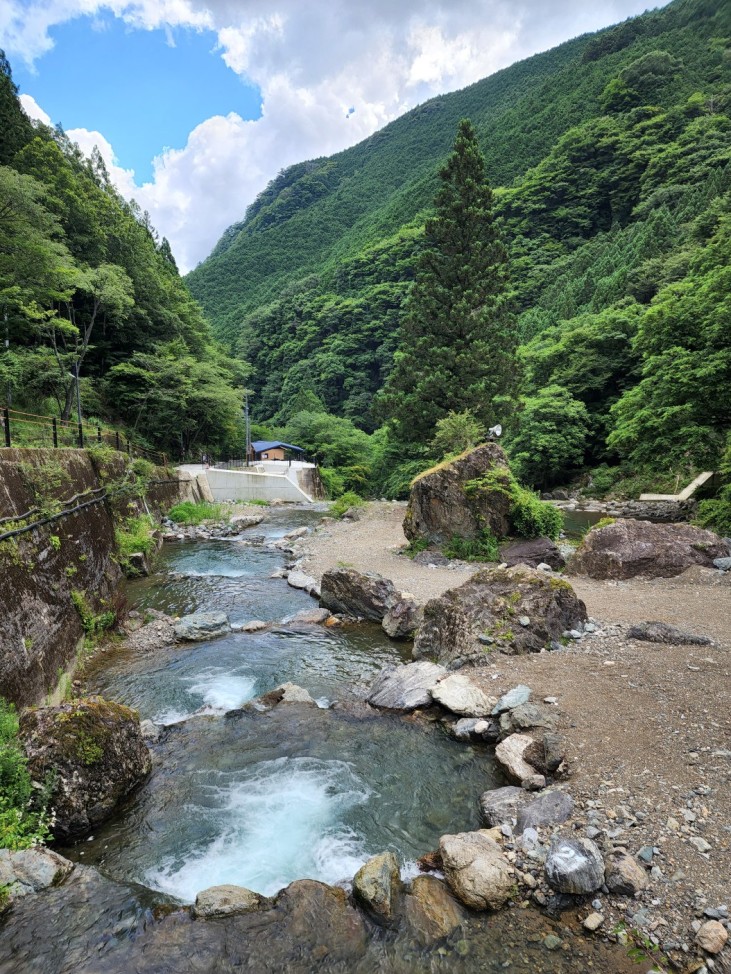 TocoTocoの森