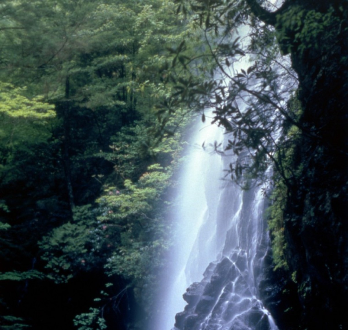 不動七重の滝