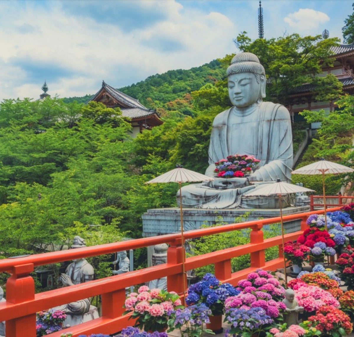 紫陽花　壺阪寺