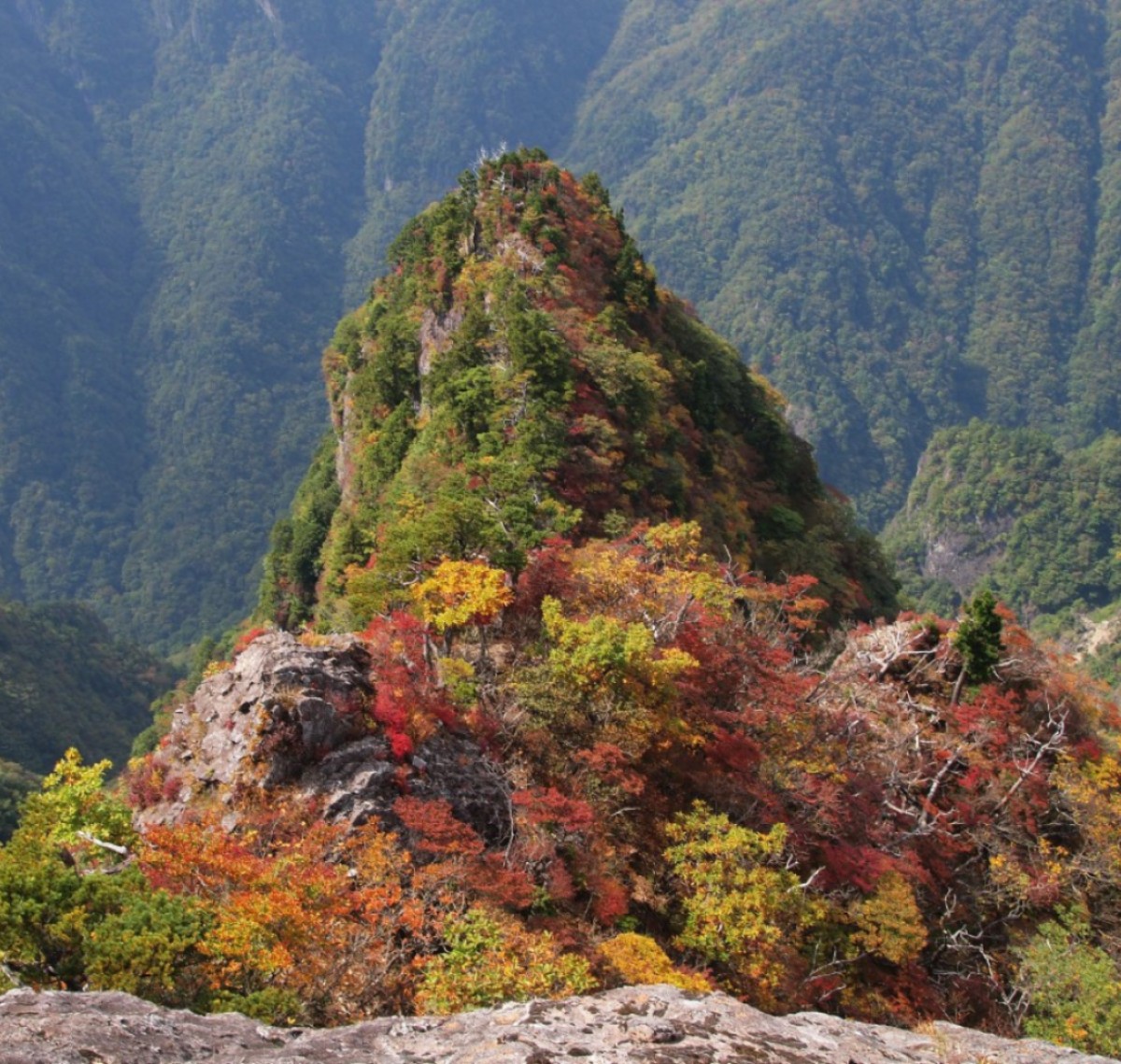 紅葉　大台ヶ原