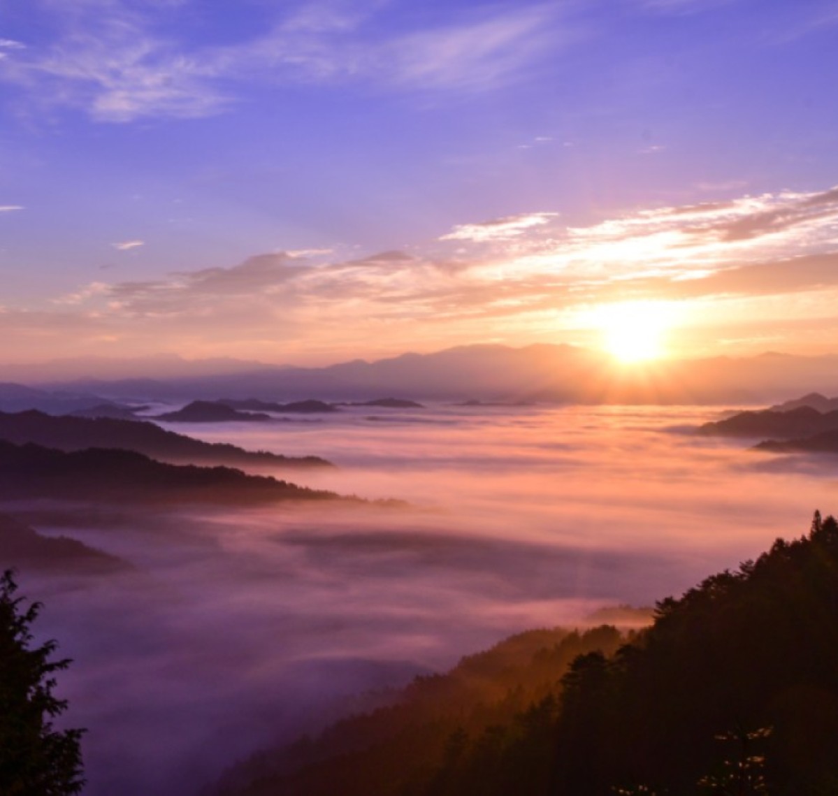 雲海　野迫川村