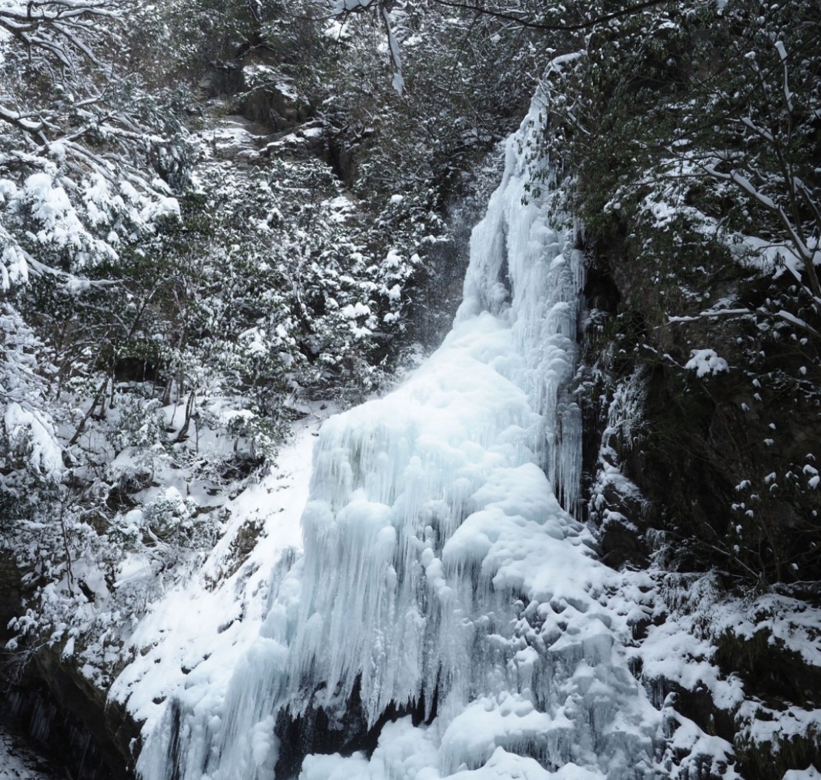 氷瀑　御船の滝