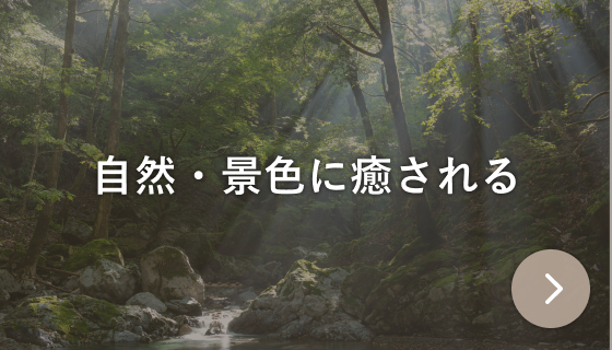 自然・景色に癒される