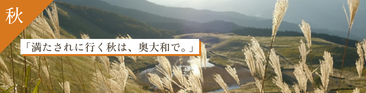 秋バナー
