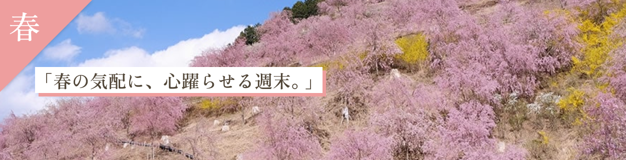 春バナー