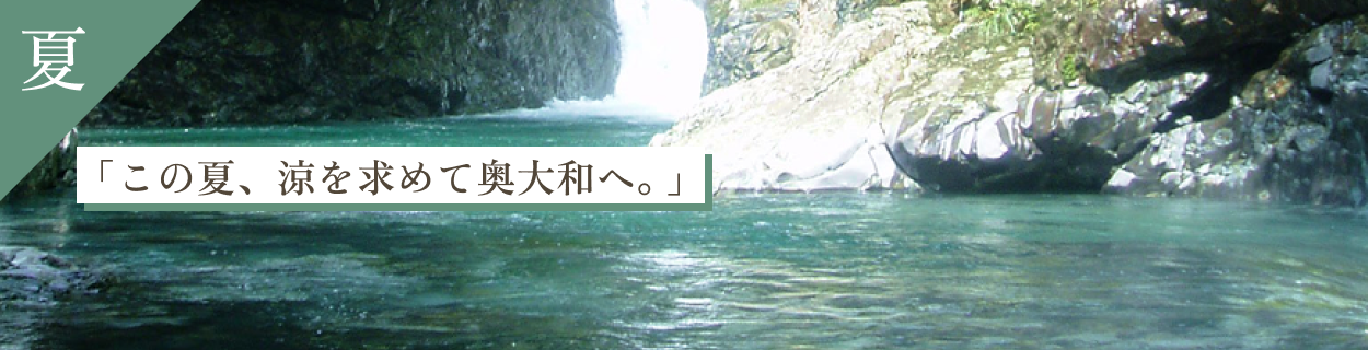 夏バナー