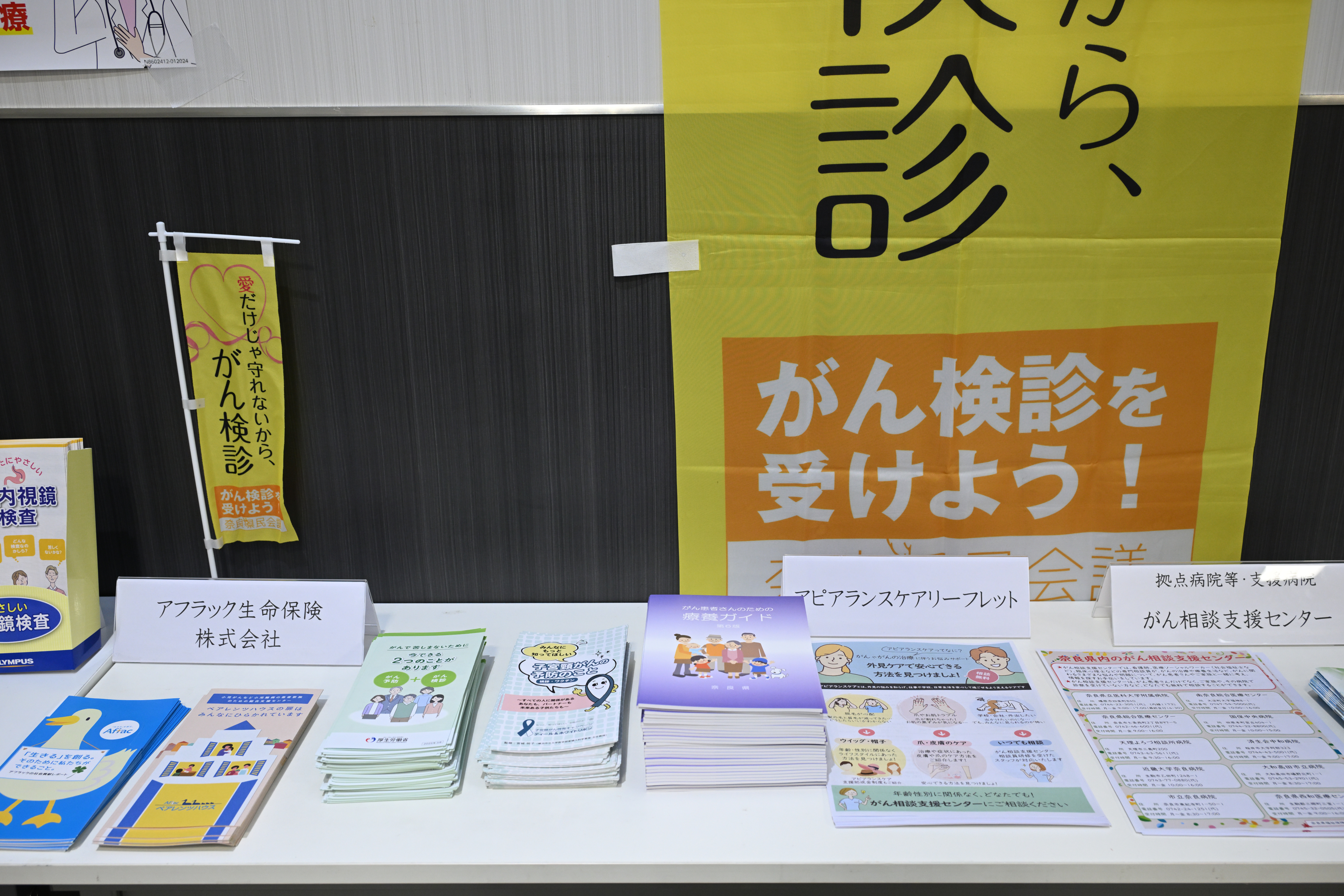 展示3