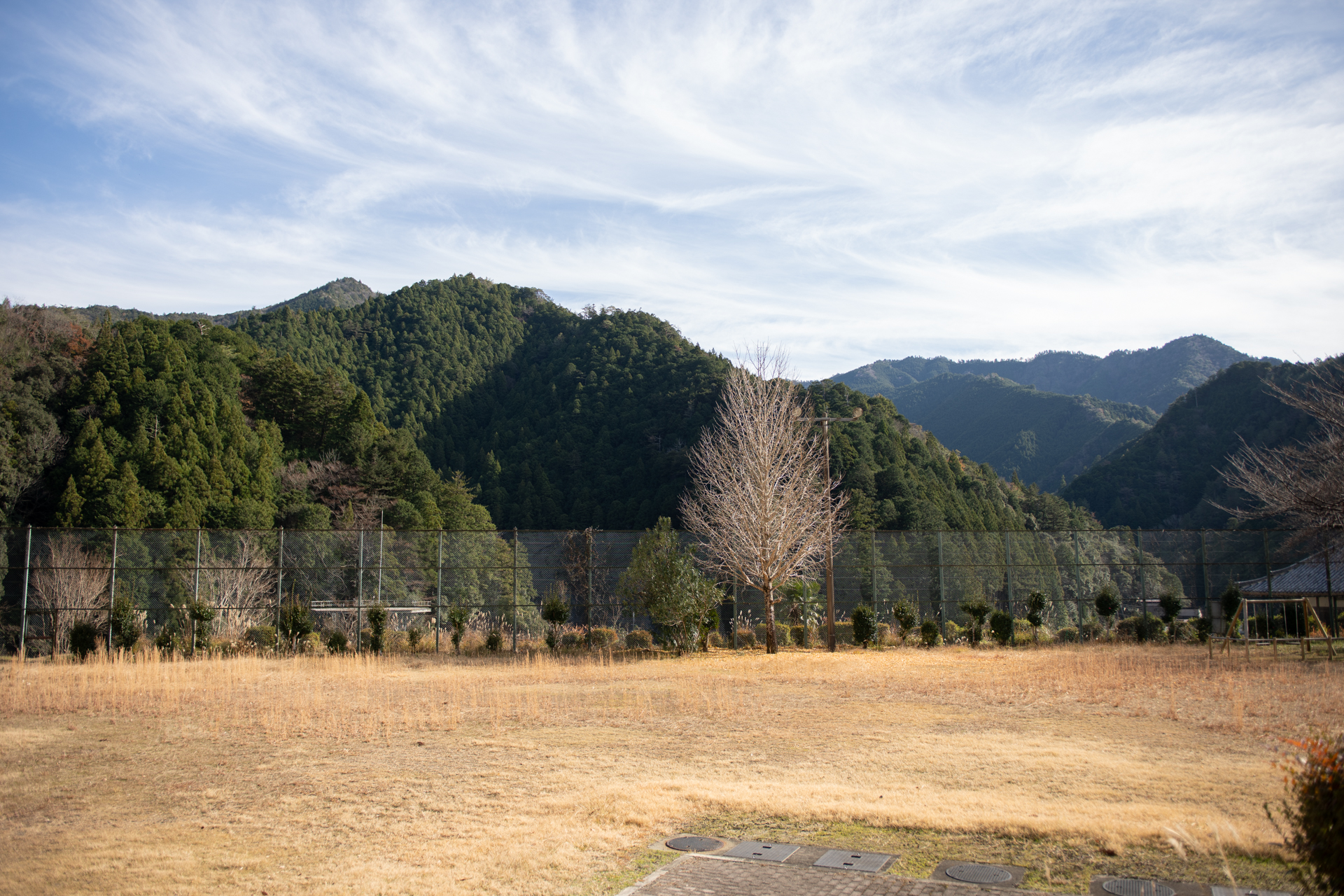 DSC08641.jpg
