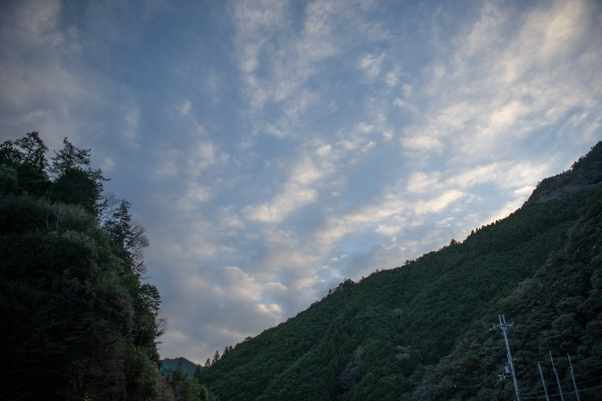 DSC09001