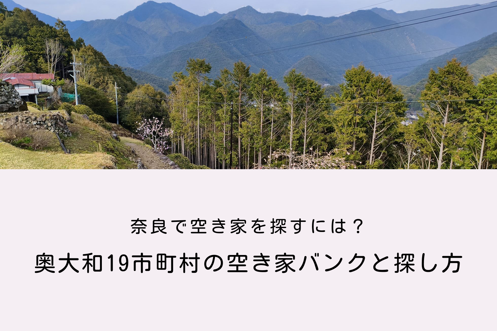 コラム8