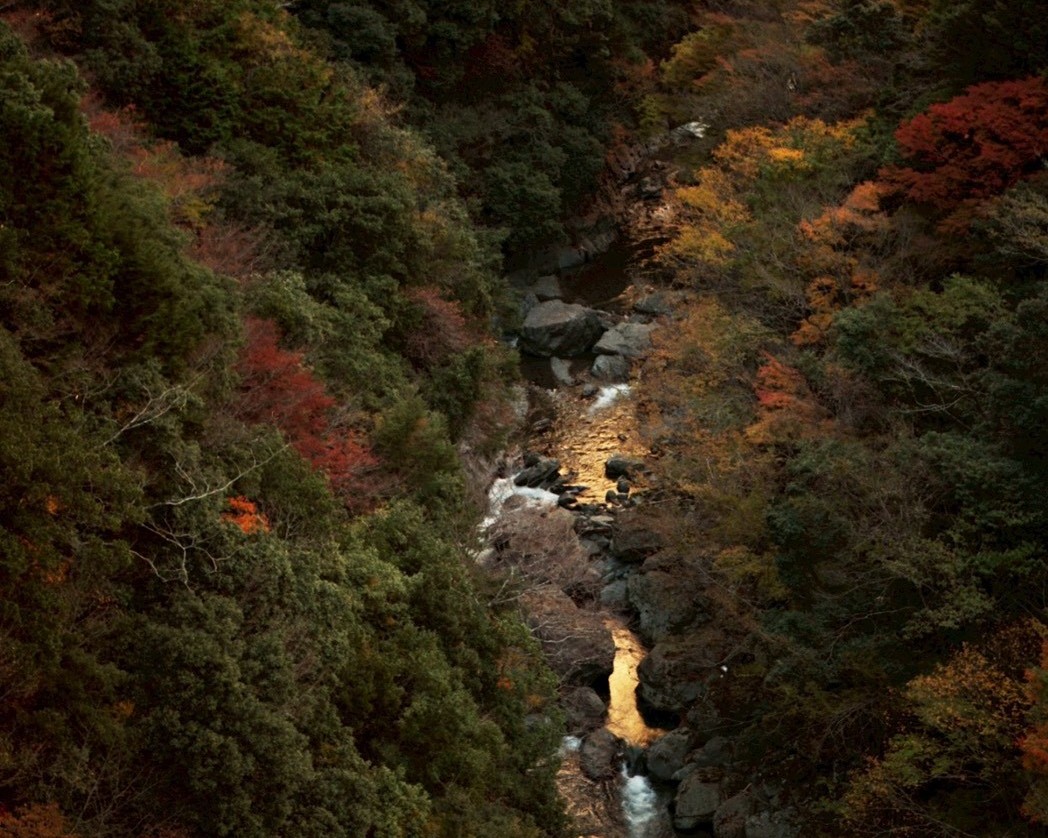 yamama