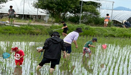 ikimono
