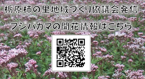 QRサムネ