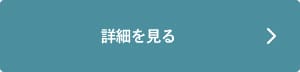 詳細を見る写真