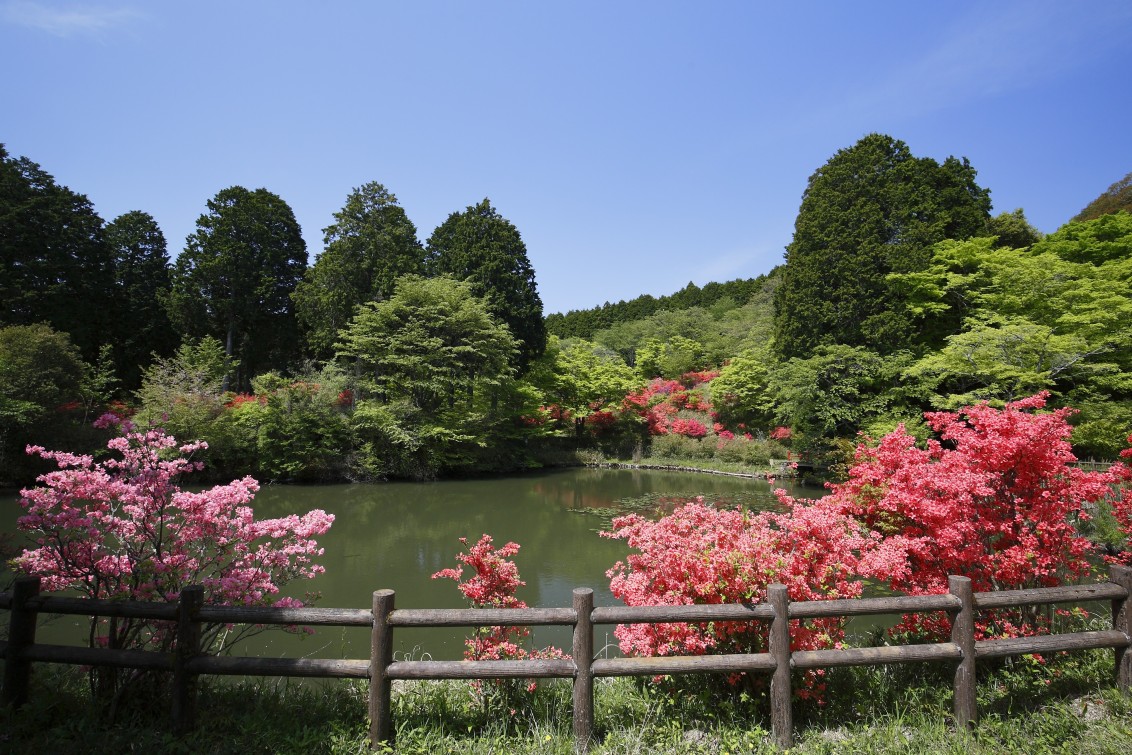 鳥見山公園