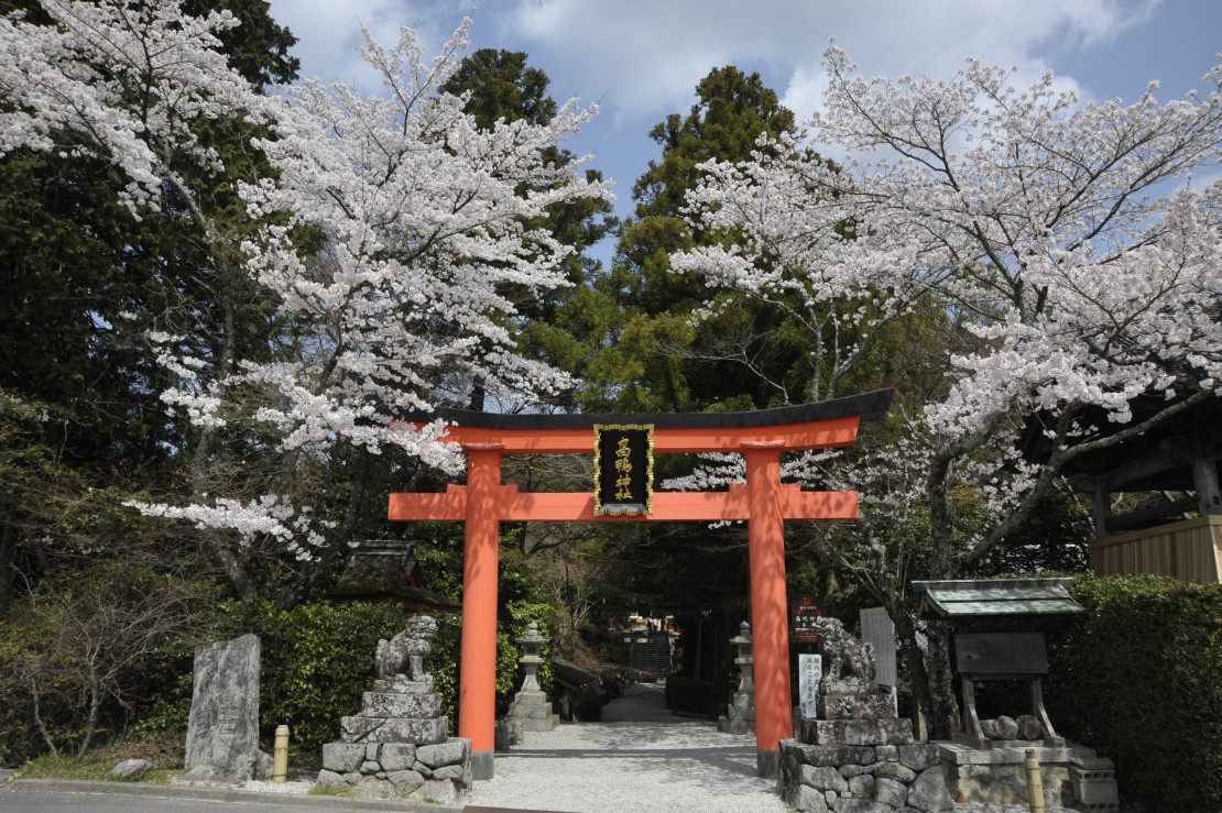 高鴨神社