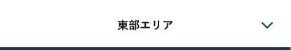 アイコン東部