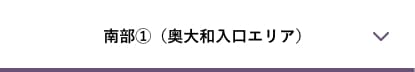 アイコン南部①