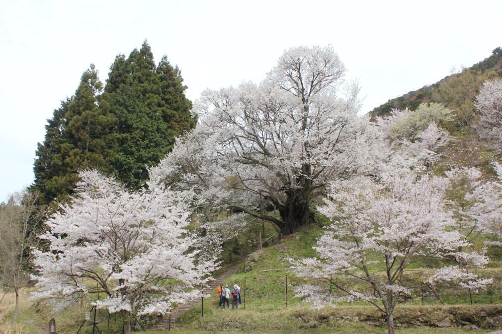 佛隆寺