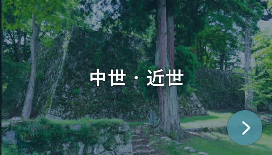 中世・近世カード