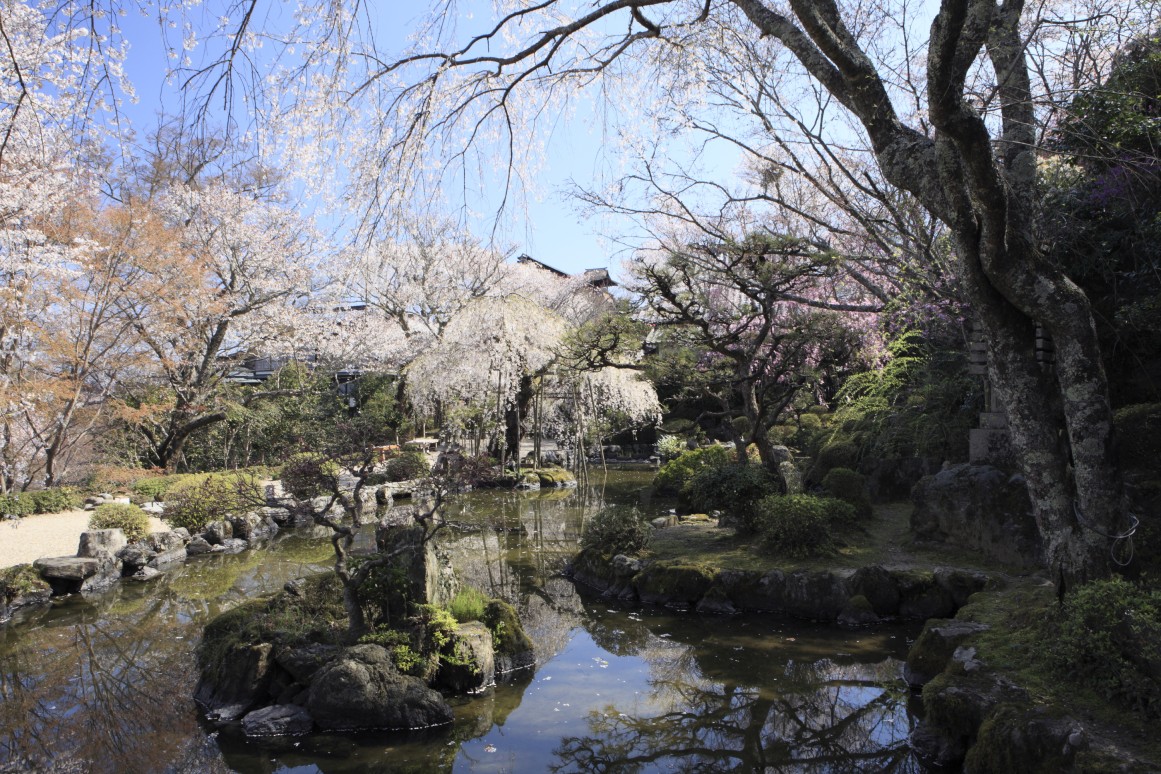 竹林院